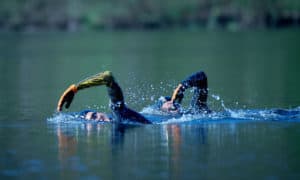 triathlon-Awards 2025: Das sind die Schwimmtextilien des Jahres