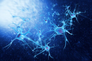 Reine Nervensache: Wie Triathleten mit Neuroathletik besser werden können