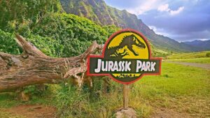 Hawaii im Film: Ganz großes Kino