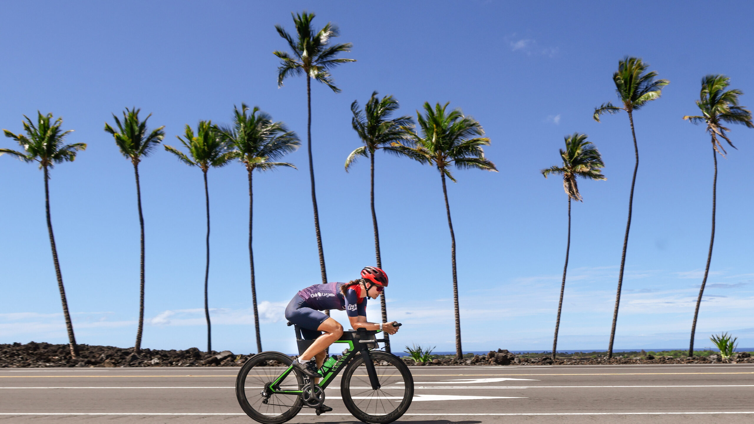 Palmen_Zeitfahrrad_Rennrad_Hawaii