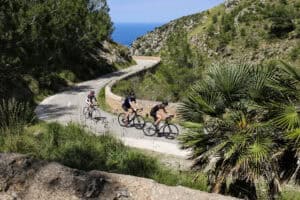 Fuerteventura vs. Mallorca: Welche Trainingslager-Location darf es sein?
