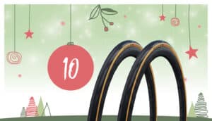 Adventskalender 2023: 10. Dezember mit Schwalbe