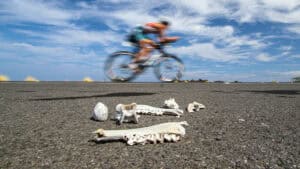 226 durch 10: Der Kurs des Ironman Hawaii (inkl. TV-Zeiten)