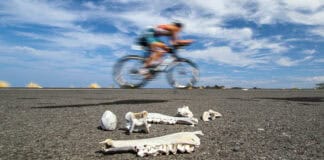 226 durch 10: Der Kurs des Ironman Hawaii (inkl. TV-Zeiten)