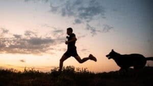 Sport für Vierbeiner: Strava-Segmente jagen mit Hund