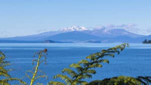 Ironman-70.3-WM: Strecken, Starterfelder und Übertragung vom Rennen in Taupo
