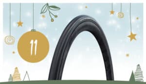 Adventskalender 2024: 11. Dezember mit Schwalbe