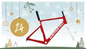 Adventskalender 2024: 24. Dezember mit Quintana Roo
