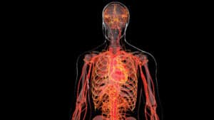 Wenn dein Puls ausbricht: Das Phänomen „Cardiac Drift“