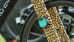 Entscheidung der Profis: RaceRanger-Daten von Challenge Roth werden veröffentlicht