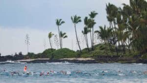 Je 60 Slots in Hamburg und Frankfurt: Die Qualifikationsrennen für die Ironman-WM 2026