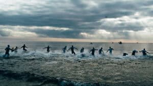 Wollongong T100: So kannst du die Rennen live verfolgen