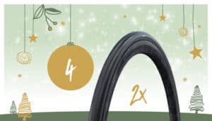 Adventskalender 2025: 4. Dezember mit Schwalbe