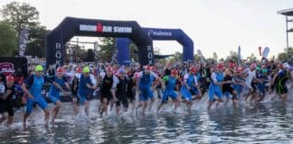Entwicklung der Schwimmzeiten des Mainova IRONMAN Frankfurt: Was bringt der Neo wirklich?
