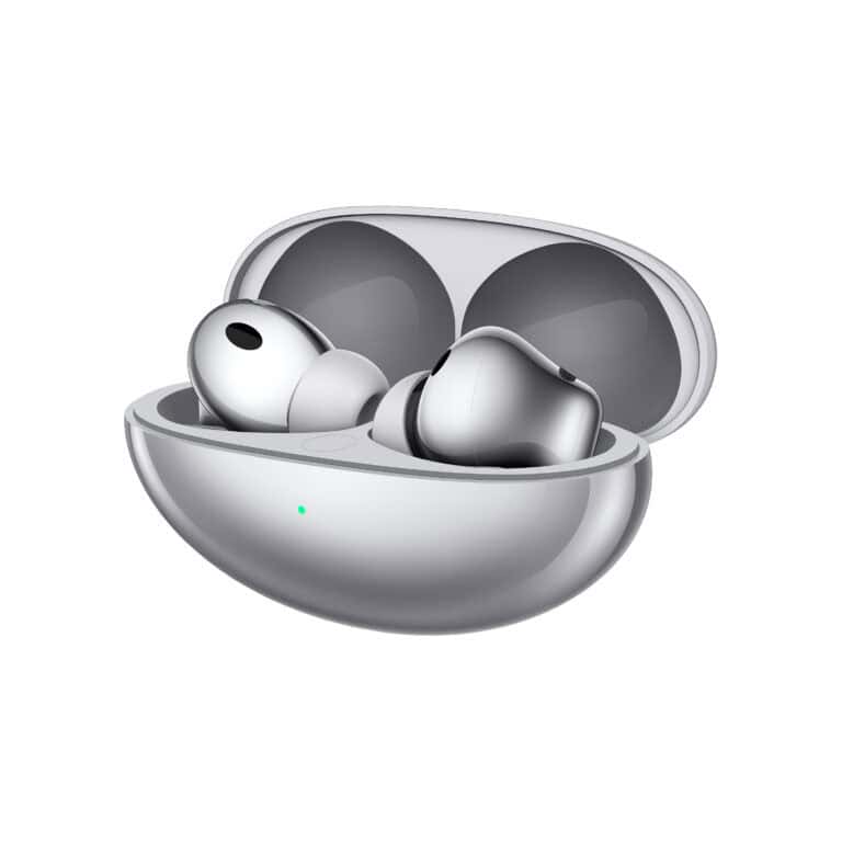In-Ear Huawei FreeBuds Neo Case open
