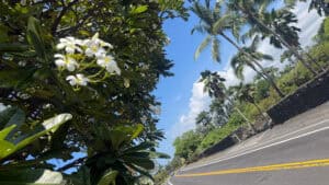 Kona, Krabbeln, Könige: Der Alii Drive auf Hawaii